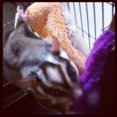 日食_2